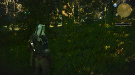 The Witcher 3 Screenshot 2022.12.19 - 14.00.44.55.png