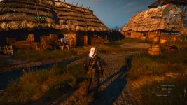 The Witcher 3 Screenshot 2024.03.20 - 00.43.09.04.png
