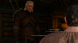 The Witcher 3 Screenshot 2024.03.15 - 20.16.02.72.png