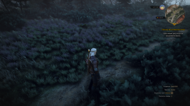 The Witcher 3 Screenshot 2024.03.09 - 09.15.56.60.png