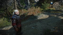The Witcher 3_ Wild Hunt - Complete Edition_20240416144721.jpg