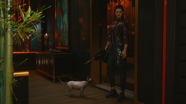 photomode_05102024_033130.png