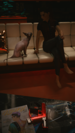 photomode_06102024_151330.png