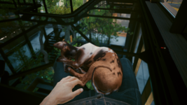 Visual Bug of the neck of the cat.png