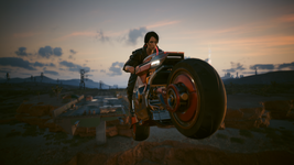 Cyberpunk 2077-2025_07_22-17_18_09.png