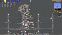 Terraria-2025_08_14-02-06-31.jpeg