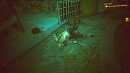 Cyberpunk 2077-2025_08_29-23-19-12.jpeg