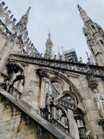 IMG_6765.jpeg