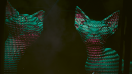 photomode_08022026_163824.png