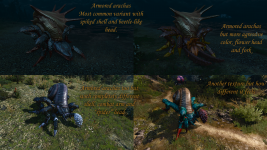 0ArmoredArachas.png