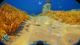 Subnautica 2-2026_05_14-15-50-06.jpeg