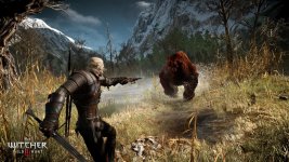 Witcher-3-Bear.jpg