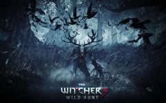 witcher-3-game-wallpaper.jpg