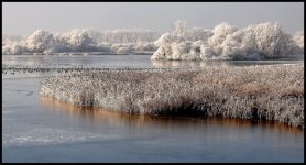 nature-reserve-the-blankaartwoumen-belgium-dd6eb765-9464-4979-b0f2-852c59b4da11.jpg