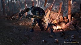 the_witcher_3_wild_hunt_14.jpg