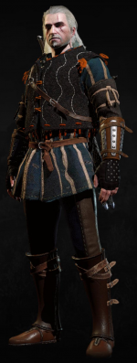 Tw3_armor_ard_skellig_aketon.png
