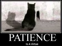 patience.jpg