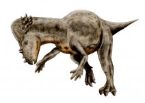 Pachycephalosaurus.jpg