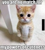 You-are-no-match-for-my-powers-of-cuteness-lolcat.jpg