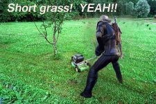 grass.jpg