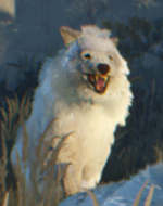 The_Witcher_3_Wild_Hunt_These_animals_can_rip_you_apart_in_seconds_if_you're_not_careful.png