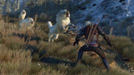 The_Witcher_3_Wild_Hunt_These_animals_can_rip_you_apart_in_seconds_if_you're_not_careful (1).jpg