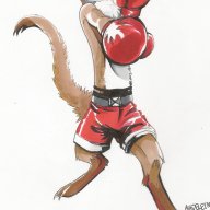 RedwashX