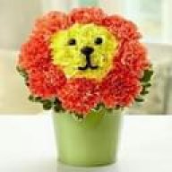 Lion_Tacos