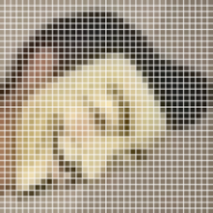 thE_29