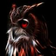 Couchowl