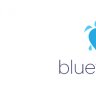 blueturtletech