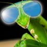 Dave_the_Mantis
