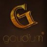 Gaudium007