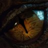 SmAuG0202