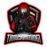 TimVSGaming