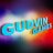 gudvin003