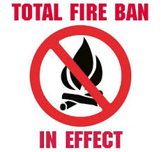 Image result for fire ban