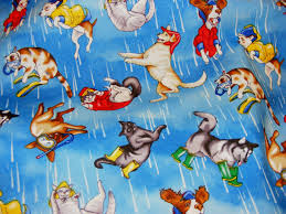 Why do people say 'it's raining cats and dogs'? | Metro News