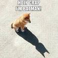 Image result for i am batman meme