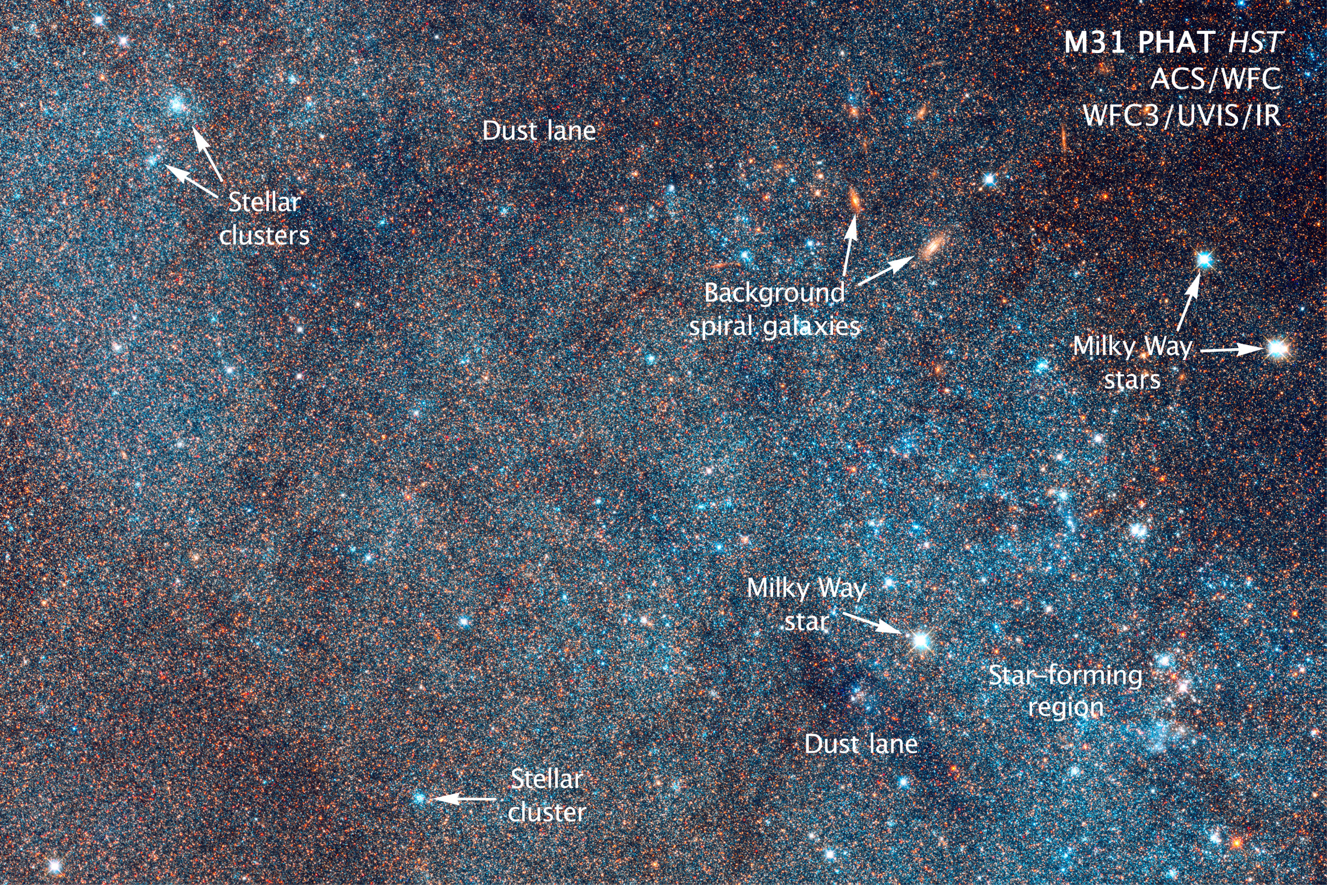 Andromeda Galaxy Close up.jpg