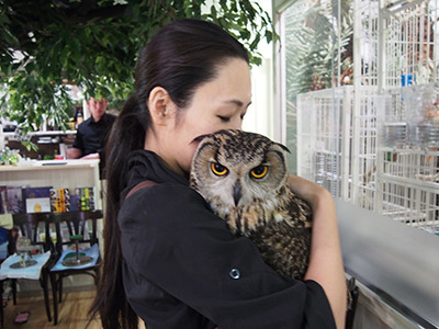 animal-zoo-cat-owl-cafe-in-japan-02.jpg