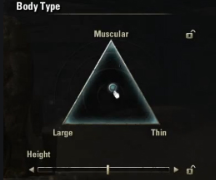 body type.png