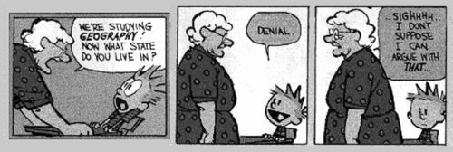 calvin denial2.jpg