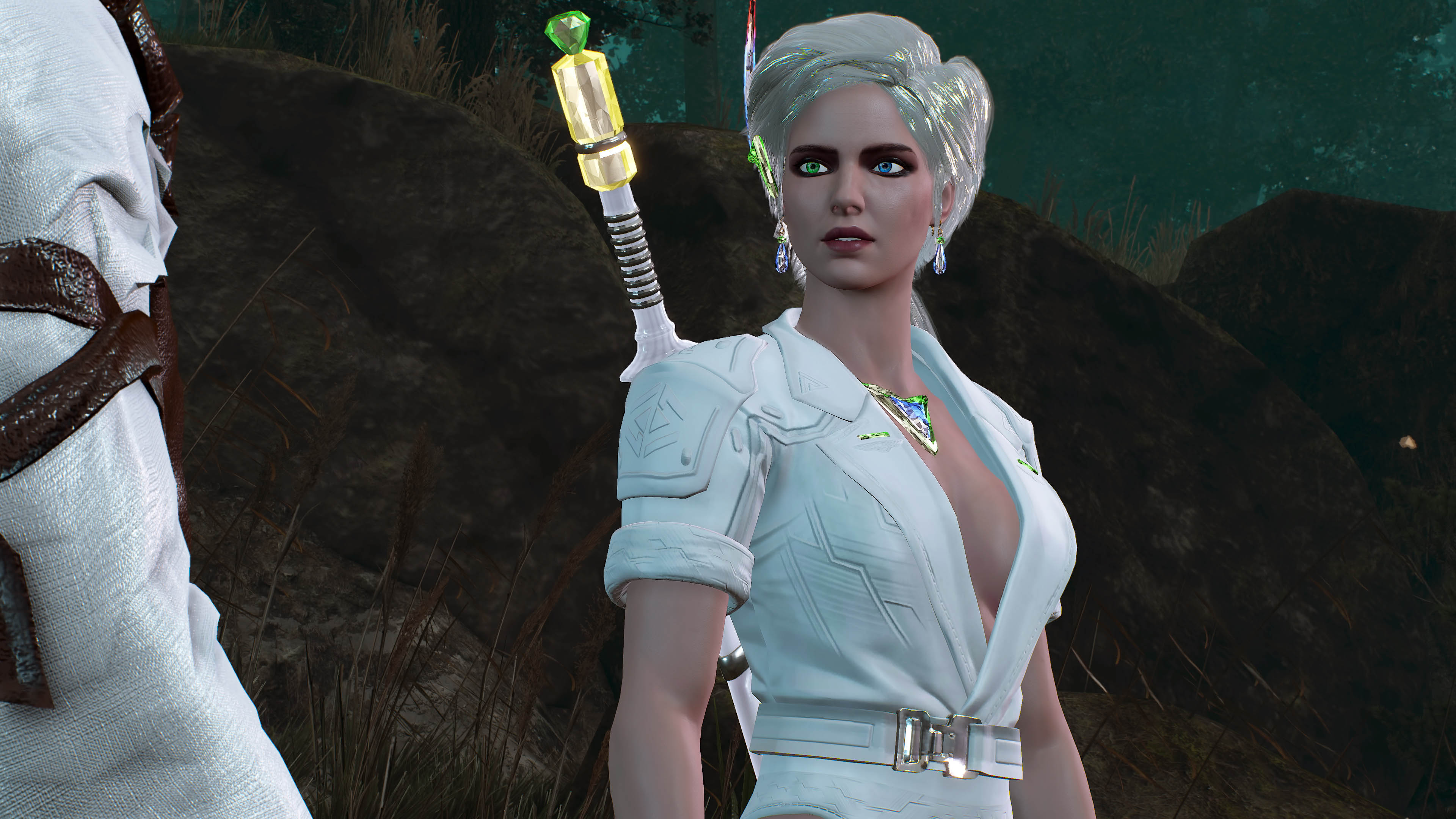 ciri_cyber_006.jpg