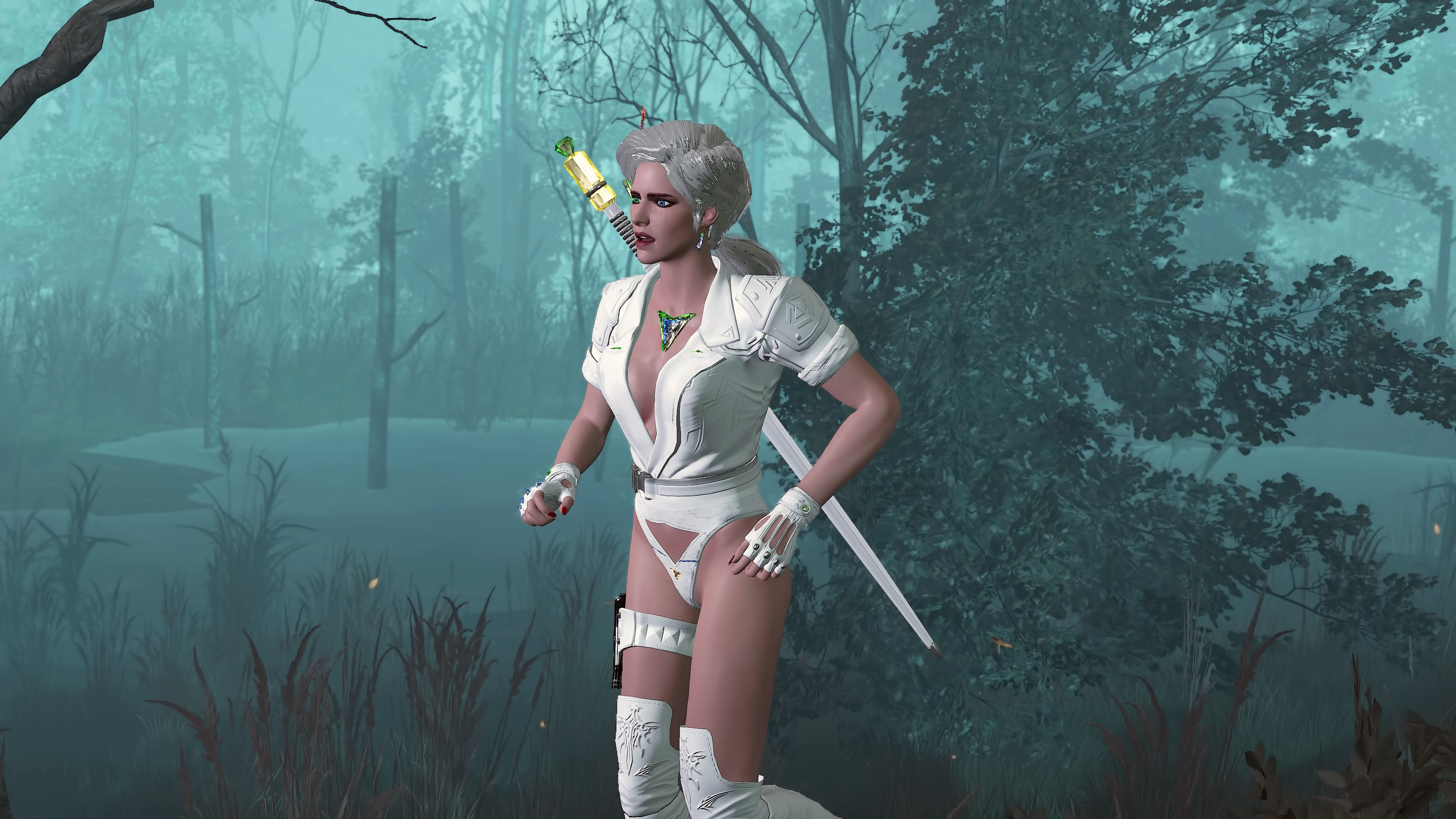 ciri_cyber_021.jpg