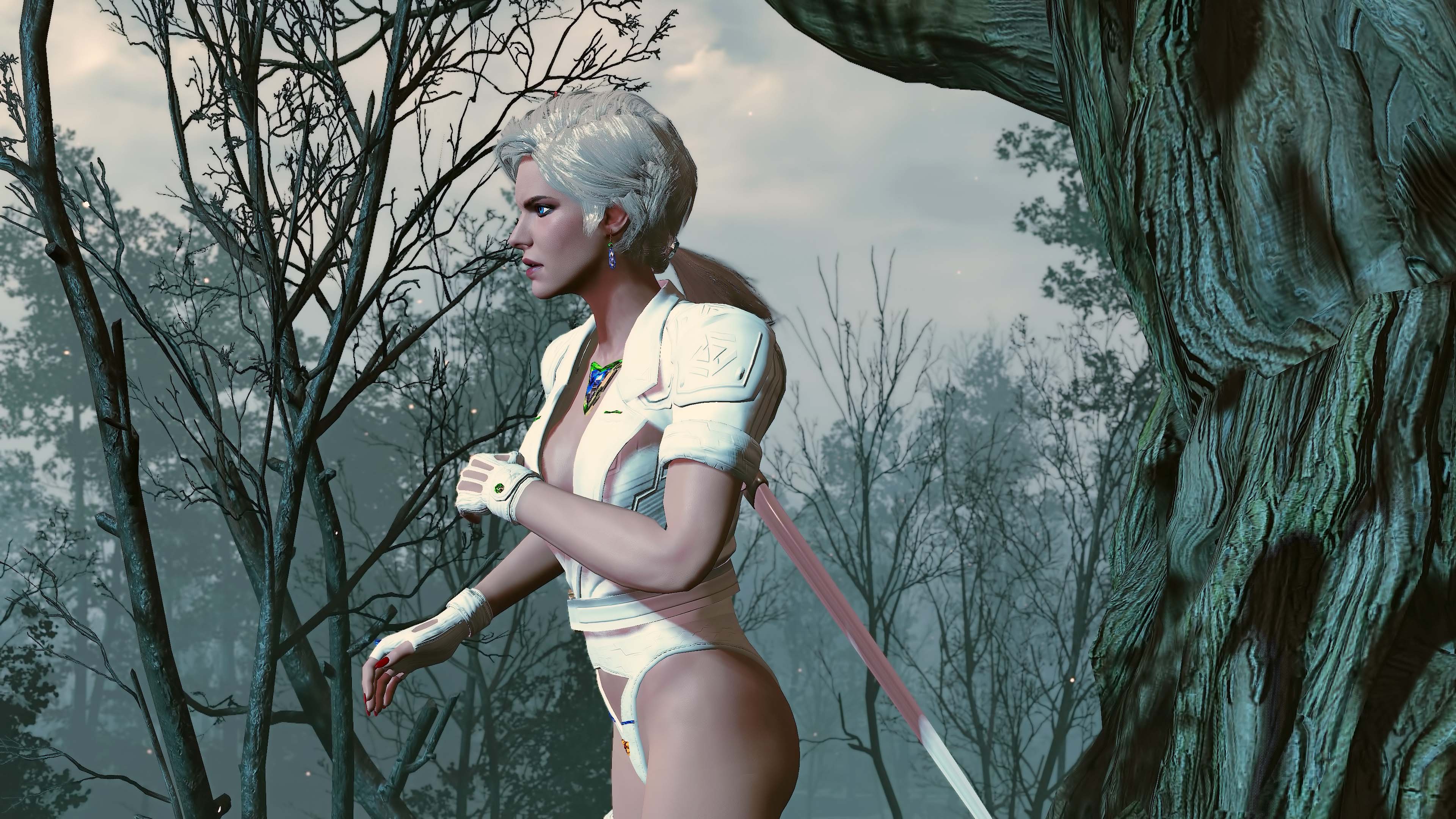 ciri_cyber_022.jpg