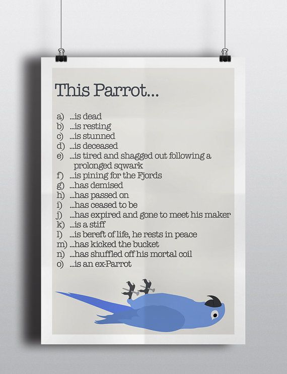 dead parrot.jpg