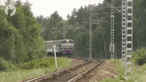 Judy´s Express Party!.gif