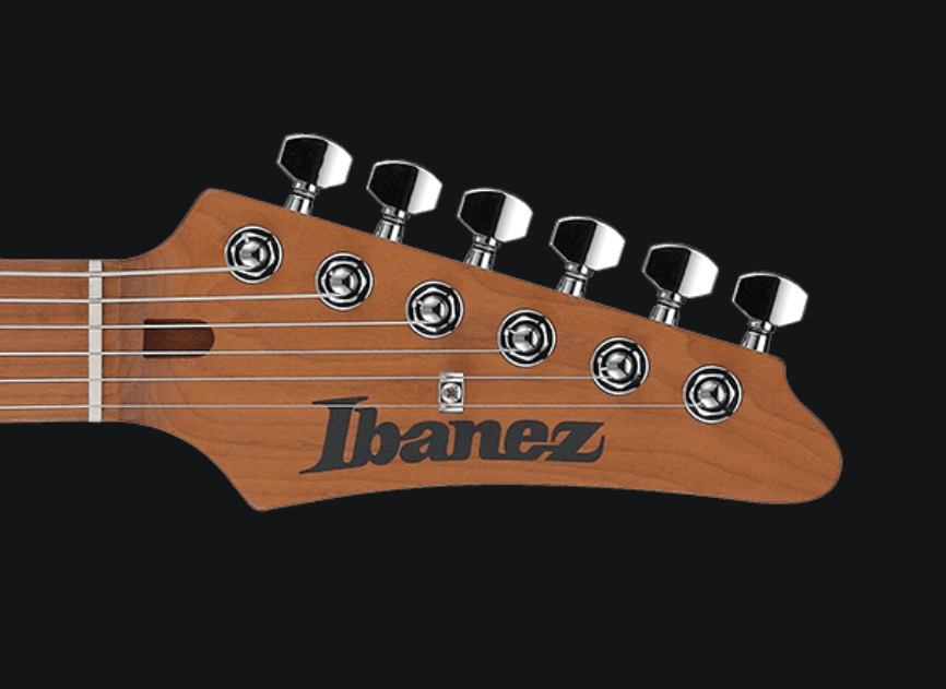 Poliphonic Ibanez.png