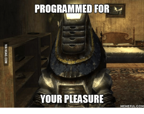 programmed-for-your-pleasure-memeful-com-16042709.png